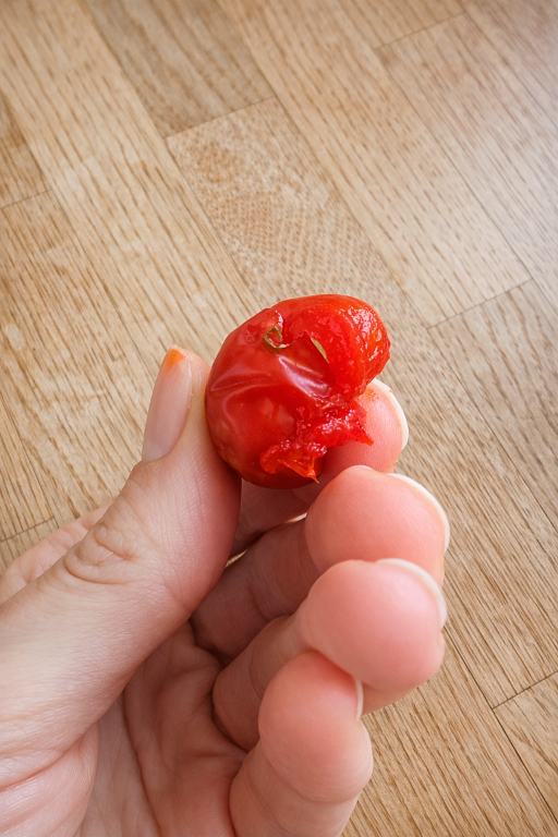 Pflanzenwissen – Hagebutte